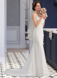 Raegan Trumpet/Mermaid V-neck Court Train Chiffon Wedding Dress STKP0013788