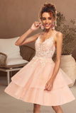 Emely A-line V-Neck Short/Mini Lace Tulle Homecoming Dress STKP0020524