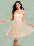 Yareli Ball-Gown/Princess Sweetheart Short Tulle Homecoming Dress With Bow STKP0025719