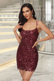 Marely Bodycon Scoop Short/Mini Sequin Homecoming Dress With Sequins STKP0020489