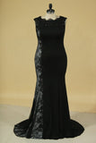 2024 Mermaid Evening Dresses Scoop With Applique Spandex & Lace Sweep PHTQQDZA