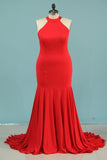 2024 Plus Size Evening Dresses Mermaid High Neck Spandex PBP1JHT9