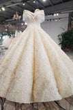 2024 Ball Gown Wedding Dresses Off-The-Shoulder Floor-Length Lace PYYGQ3P8