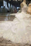 2024 Luxury Floral Scoop Neck Tulle Wedding Dresses Lace Up With PSYMH8S8