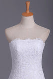 2024 Wedding Dresses Strapless Tulle With Applique PLNLPF8L