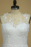 2024 Wedding Dresses Scoop Tulle With Applique Court Train PTKER3G6