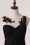 2024 Open Back Bateau Dark Navy Evening Dresses Mermaid Tulle PB9P29C8