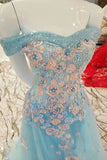 2024 New Arrival Vintage Tulle Prom Dresses A-Line With Flowers Off P1NLY3ML