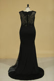 2024 Mermaid Evening Dresses Scoop With Applique Spandex & Lace Sweep PHTQQDZA