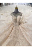 Ball Gown Wedding Dresses Scoop Top Quality Appliques P8MSJP7R