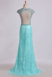 2024 Prom Dresses Lace Sheath/Column Beaded Tulle Back Floor-Length With P3SGJRTJ