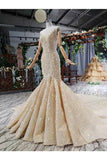 Ball Gown Wedding Dresses One Meter Train Sweetheart Top Quality Appliques P5LB3DBD