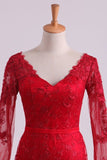 2024 Red V-Neck Evening Dresses Mermaid With Applique Lace PC643HJD