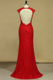 2024 Prom Dresses Sheath Scoop Lace With Applique And Beads P15KZ8TF