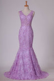 2024 V-Neck Tulle Evening Dresses Mermaid/Trumpet PD2SJ7F7