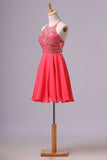 2024 Halter A Line Sexy And Cute Homecoming Dress Short/Mini Chiffon&Tulle PD5S2M9Z