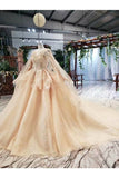 Ball Gown Wedding Dresses One Meter Train Short Sleeves Top Quality Appliques PLHTZN52