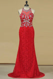 2024 Prom Dresses Mermaid Scoop Lace With Beading Sweep PTCH8B17