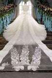 2024 New Arrival Tulle Off The Shoulder Wedding Dresses Lace Up With Appliques PK5L5SGQ
