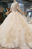 2024 Luxury Wedding Dresses Off-The-Shoulder Top Quality Lace Long Train Half Sleeves Lace PSQZ53XL
